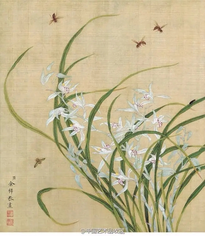美女照片头像霸气_美女照片游泳写真壁纸
