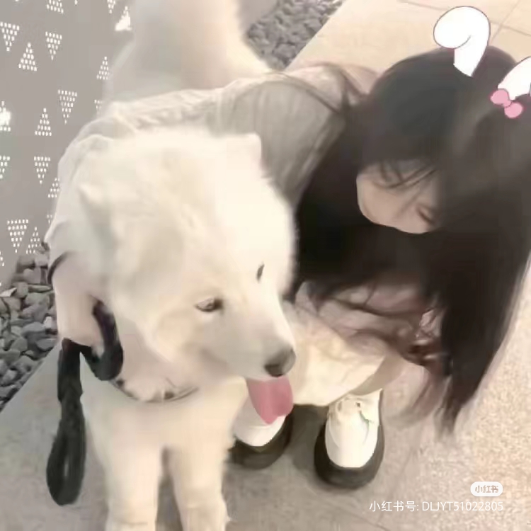 美女头像高冷_美女头像真人职业